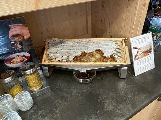 Albergo Aurora主图