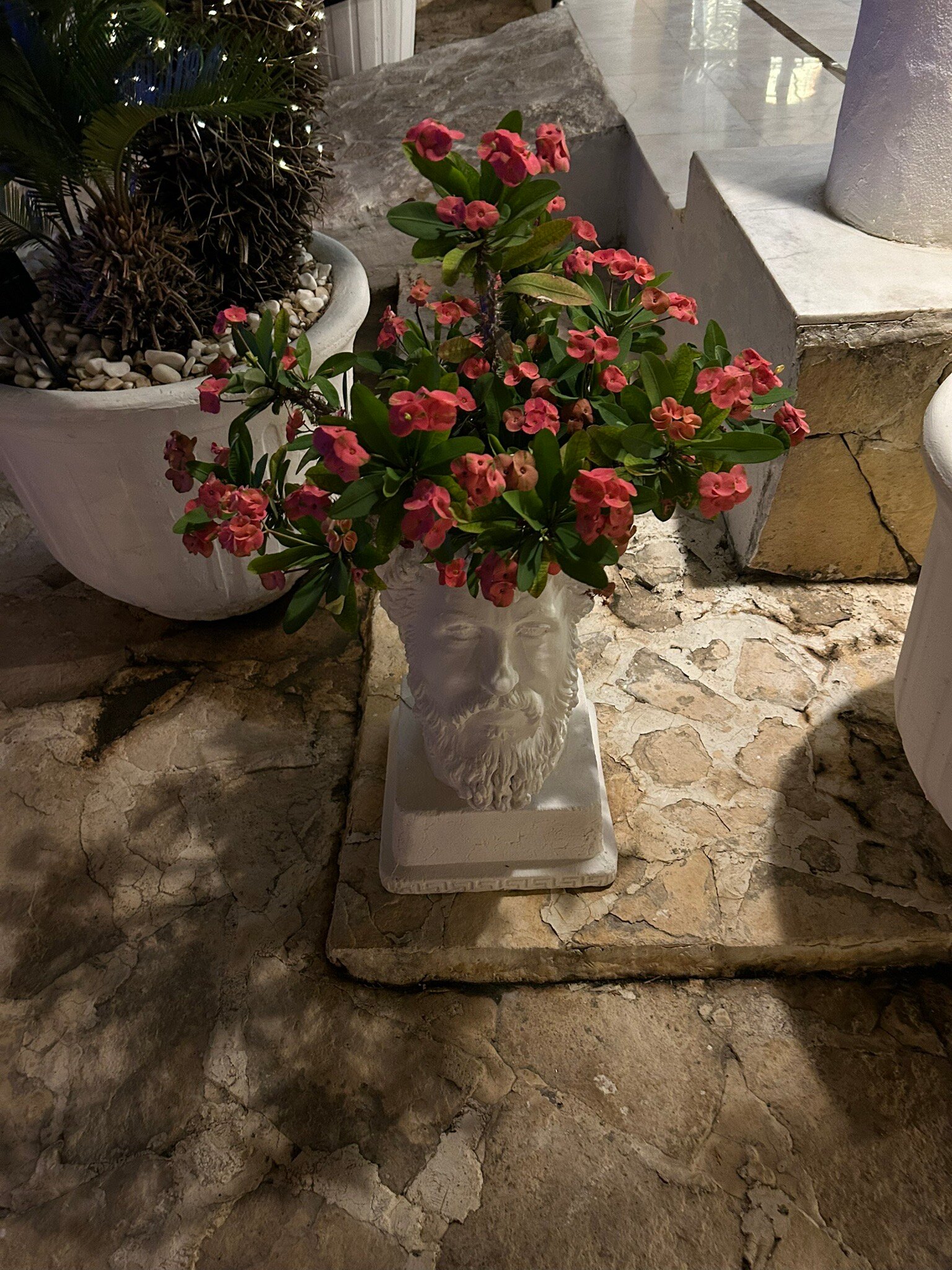 西纳特拉酒店 - 全包式-官方