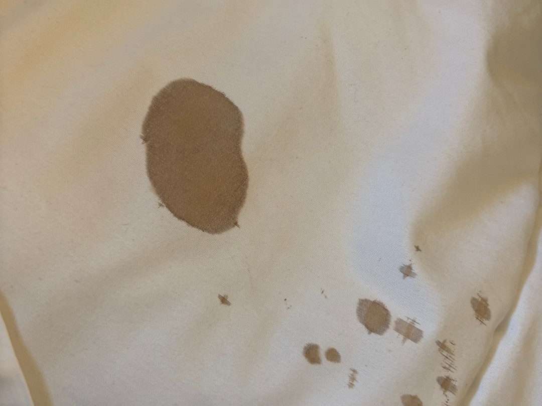 easyHotel Scheveningen主图