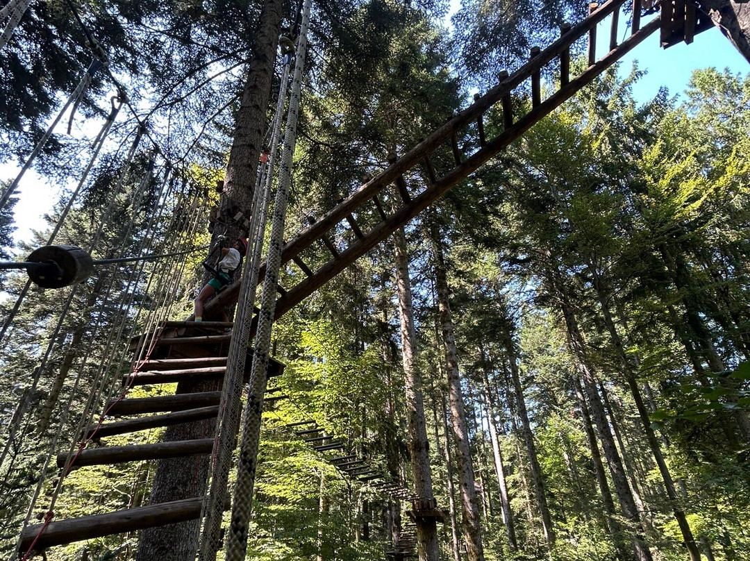 Hochseilgarten Hallwangen