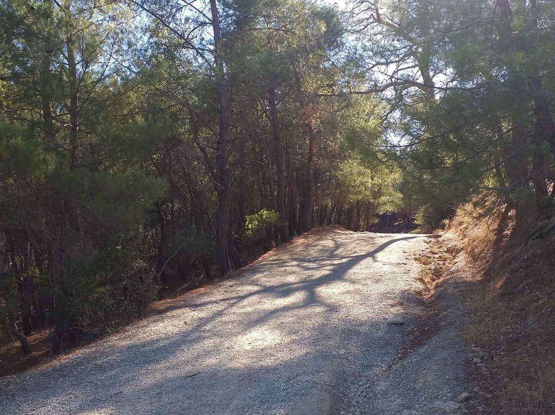 Zeus Altarı-埃德雷米特必去景点