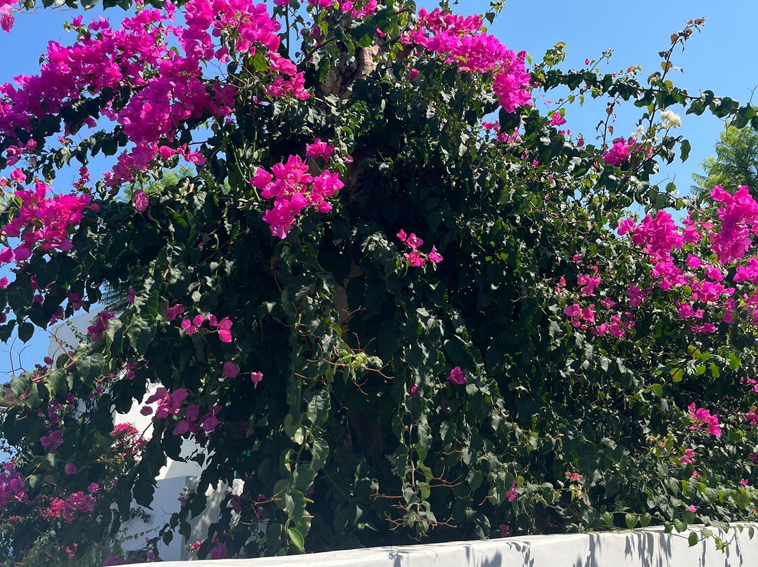 Popolo Giallo-利帕里必去景点