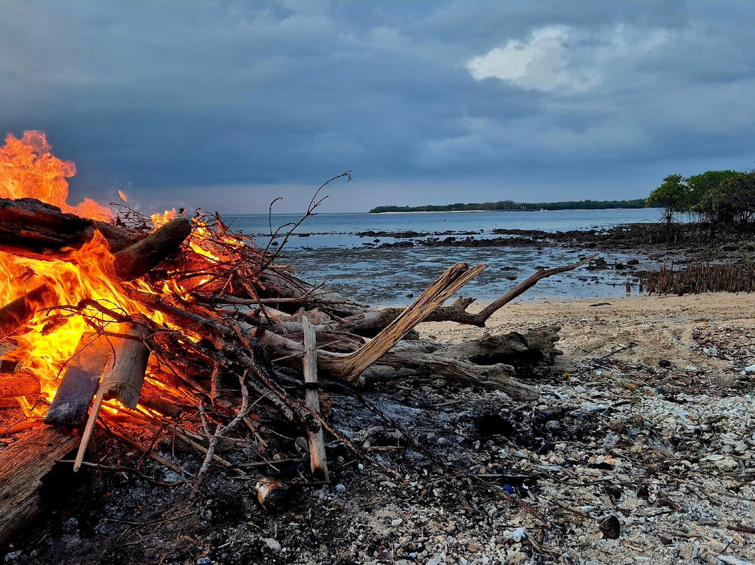 Menjangan Tour Snorkeling & Diving-Pejarakan必去景点