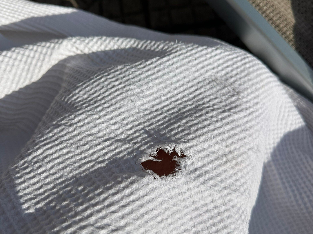 Hotel Boschetto主图