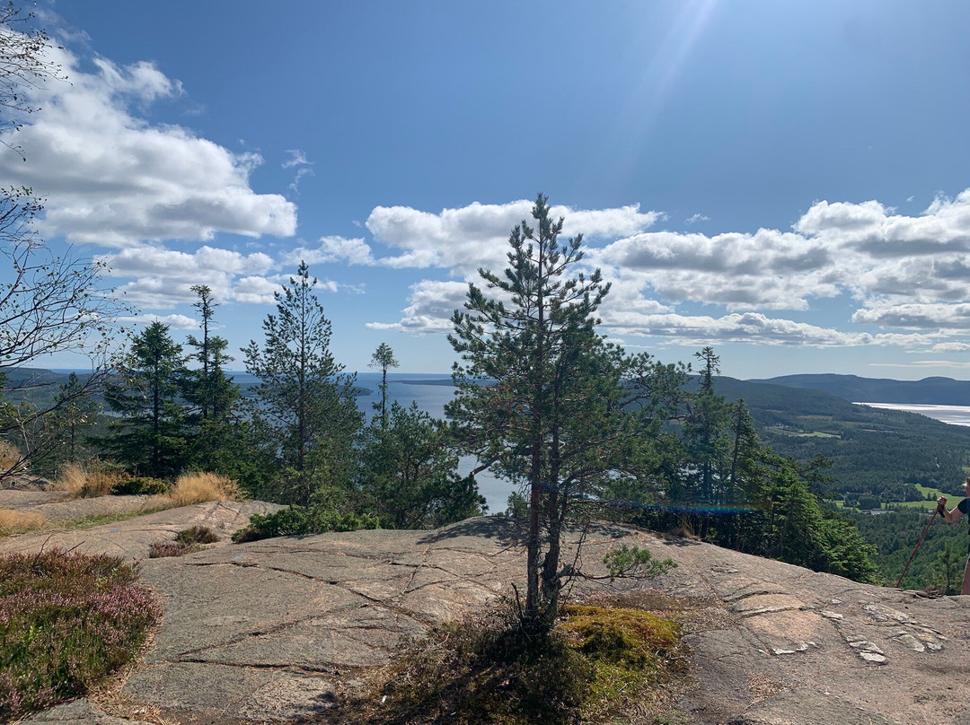 Skulebergets linbana-Docksta必去景点