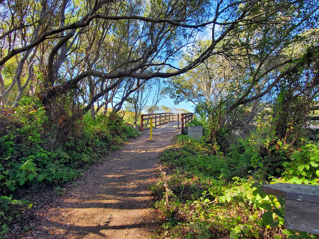 San Simeon State Park-圣西蒙必去景点