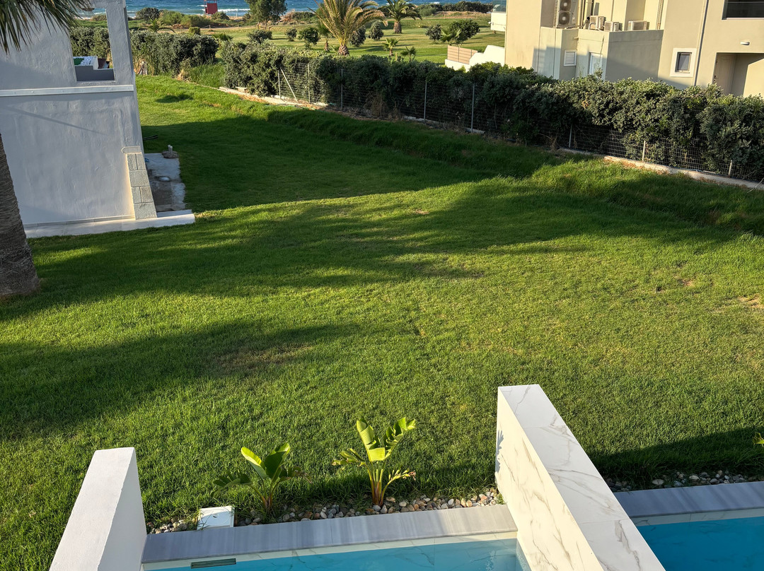 Delfina Tropic Beach主图