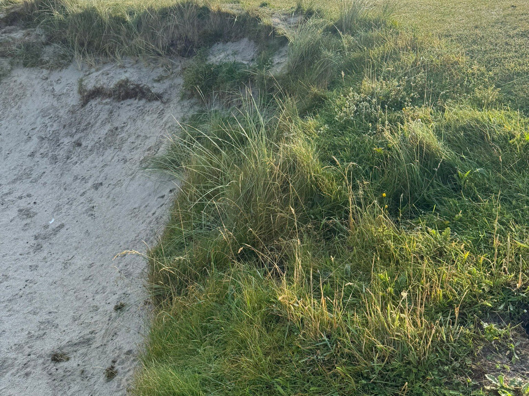 Askernish Golf Club-Askernish必去景点