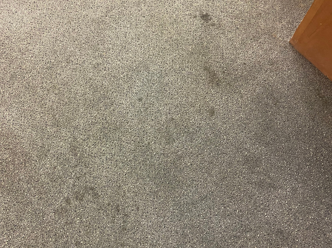 Mount Blue Motel主图