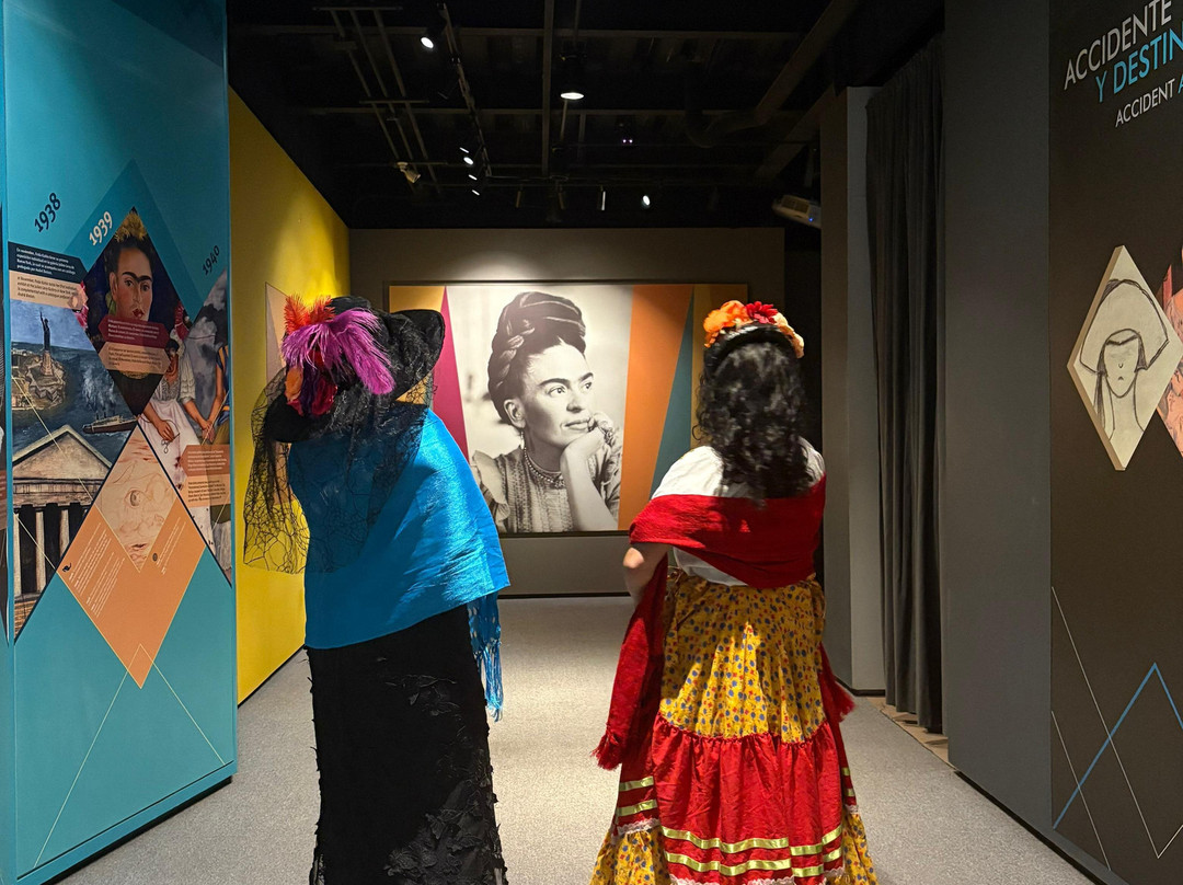 Museo Frida Kahlo-普拉亚德尔卡曼必去景点