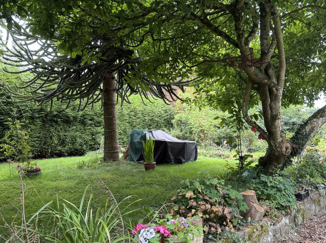 Arts in the Garden主图