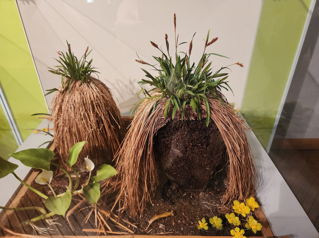 钏路市湿原展望台-钏路市必去景点