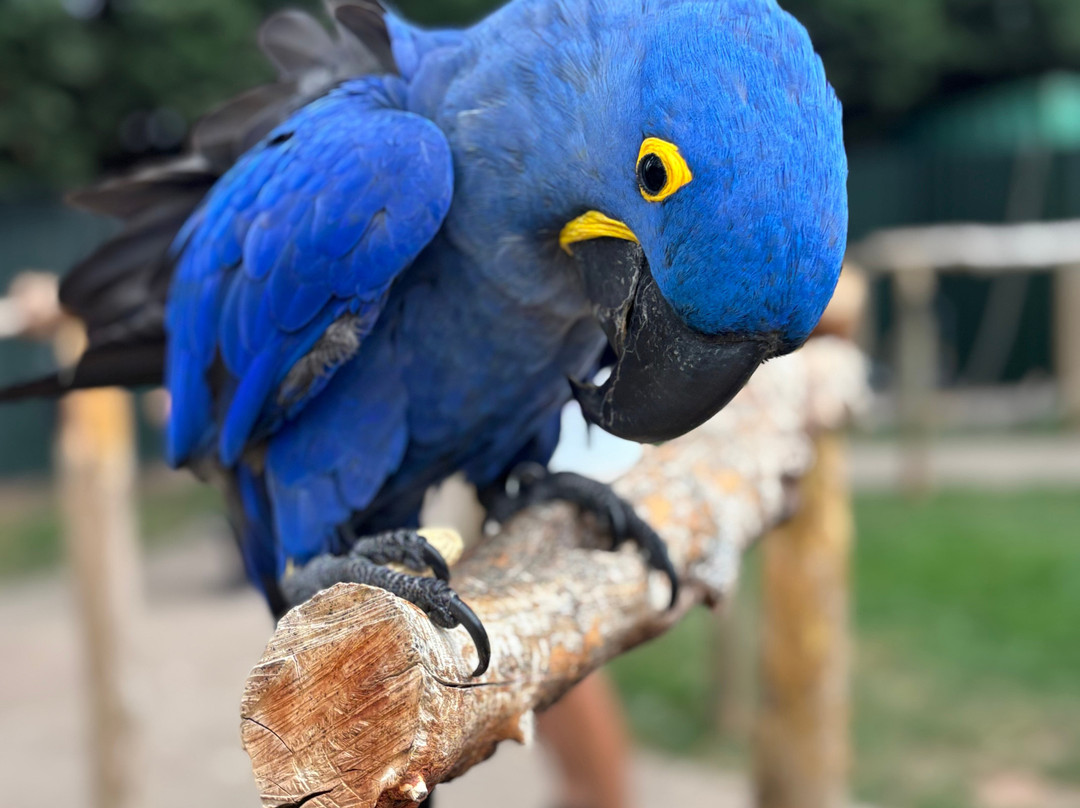 Tropical Birdland-Desford必去景点