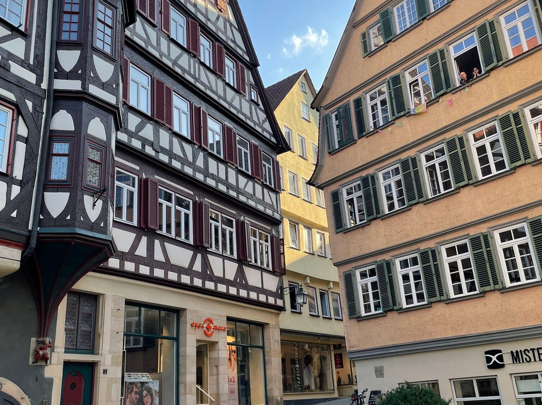 Domizil Tubingen主图