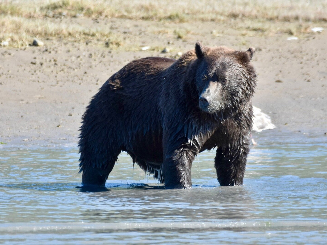 Alaska Ocean Pros-荷马必去景点