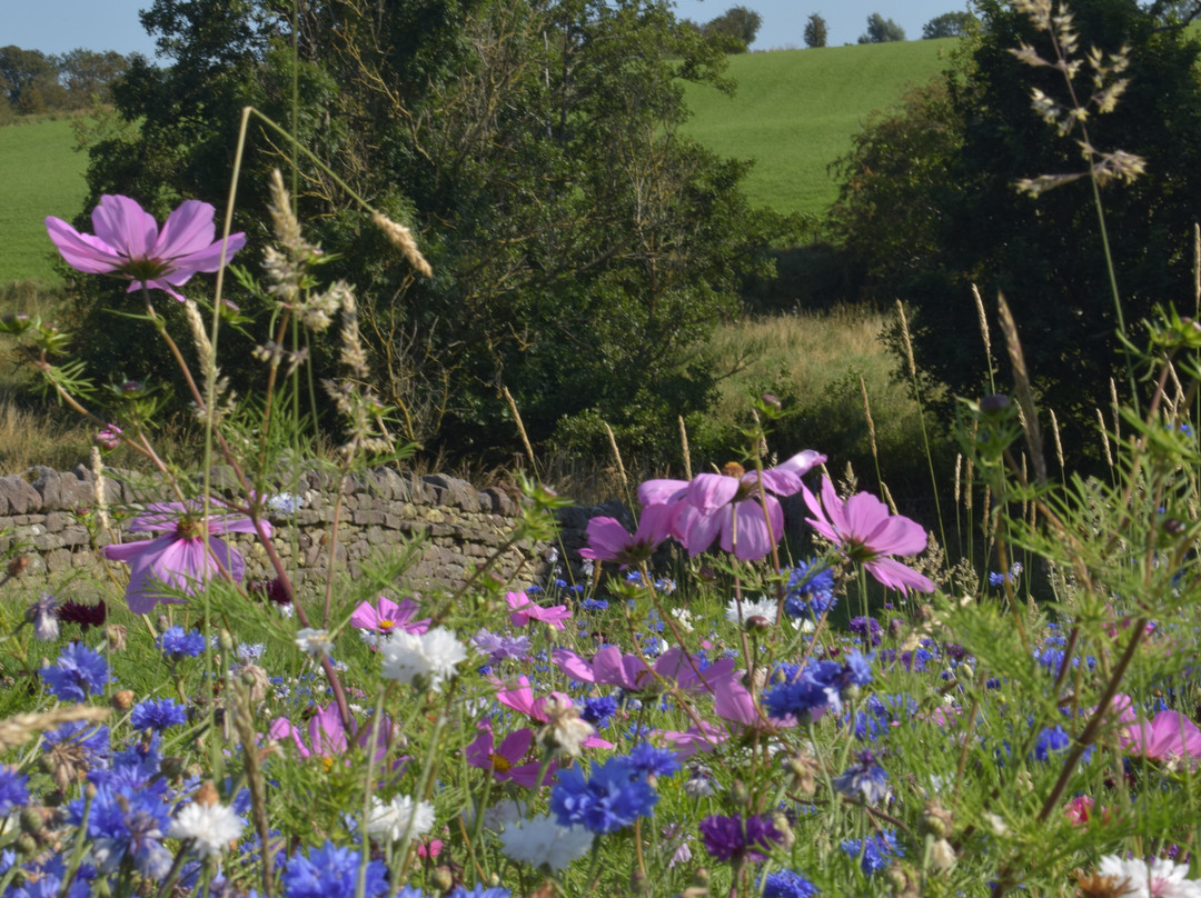Wild Acres Cumbria-彭里斯必去景点