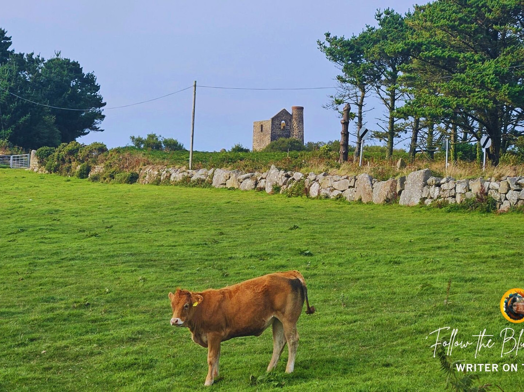 The Engine Inn主图