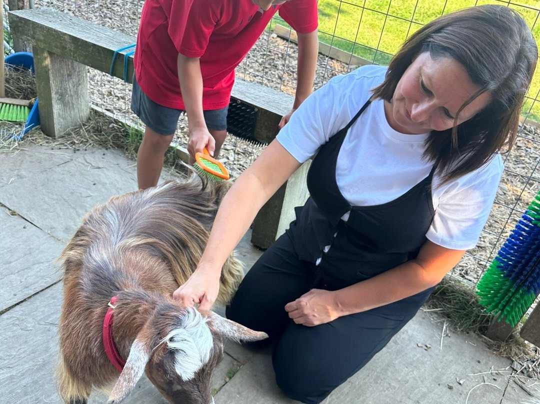 Fisherwood farm-Robertsbridge必去景点