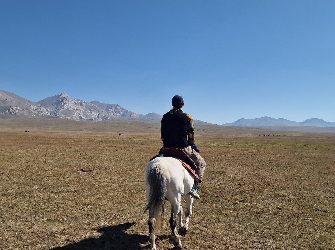 Kyrgyz Landscapes Travel-Kochkor必去景点
