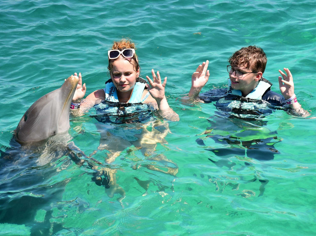 Dolphin Discovery Playa Del Carmen-普拉亚德尔卡曼必去景点
