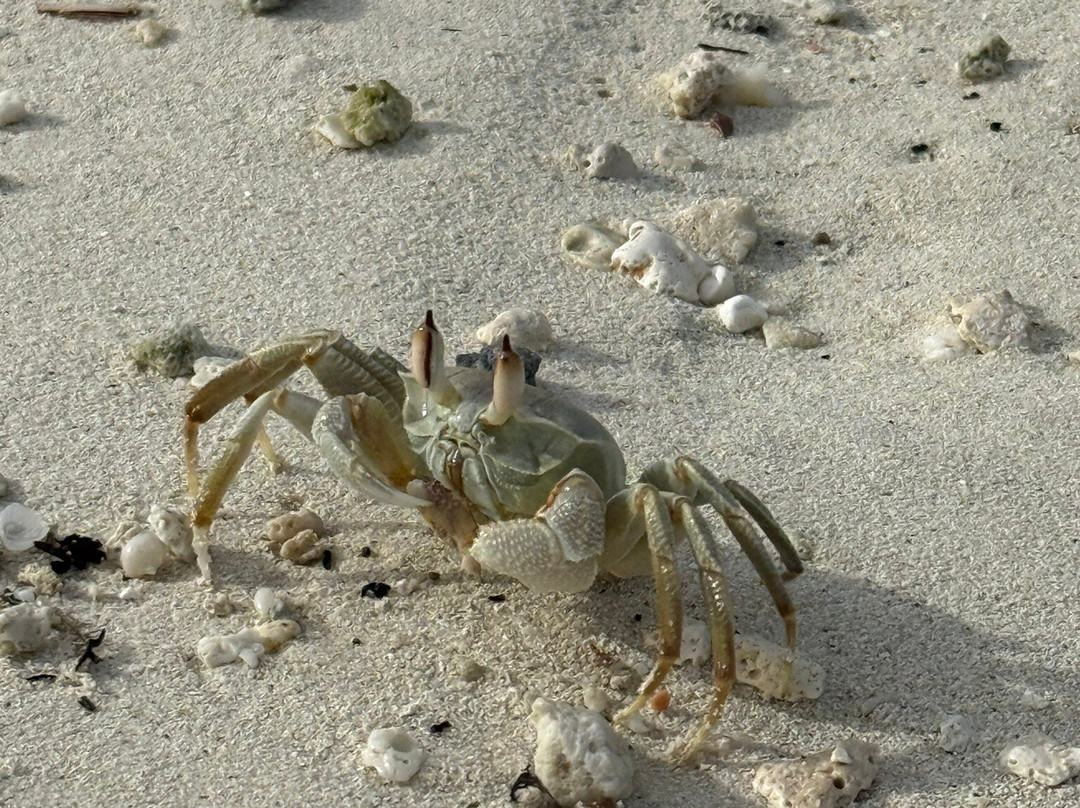 Aveyla Manta Village主图