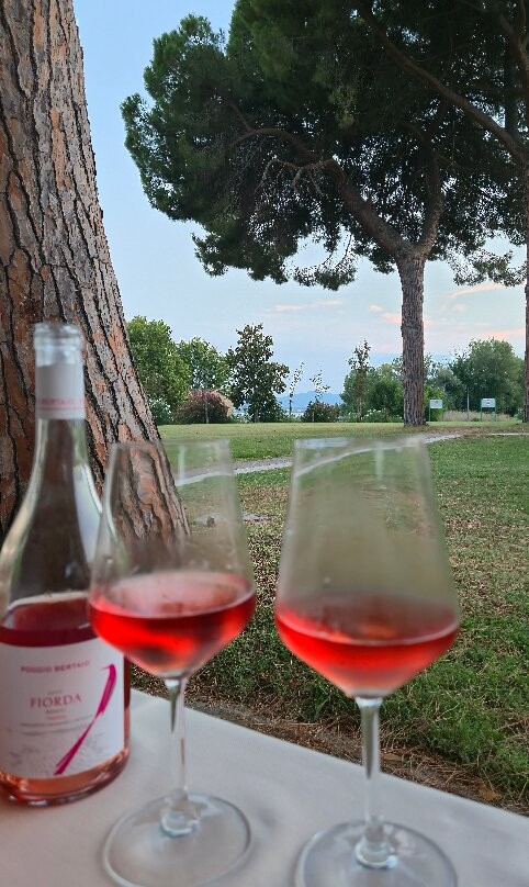 Isola Polvese-Castiglione del Lago必去景点