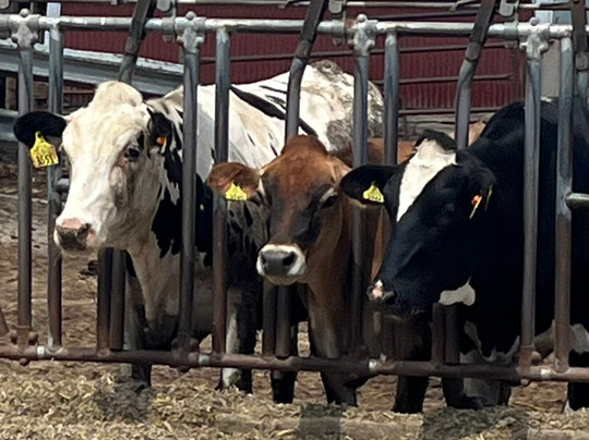 Berning Acres-East Dubuque必去景点