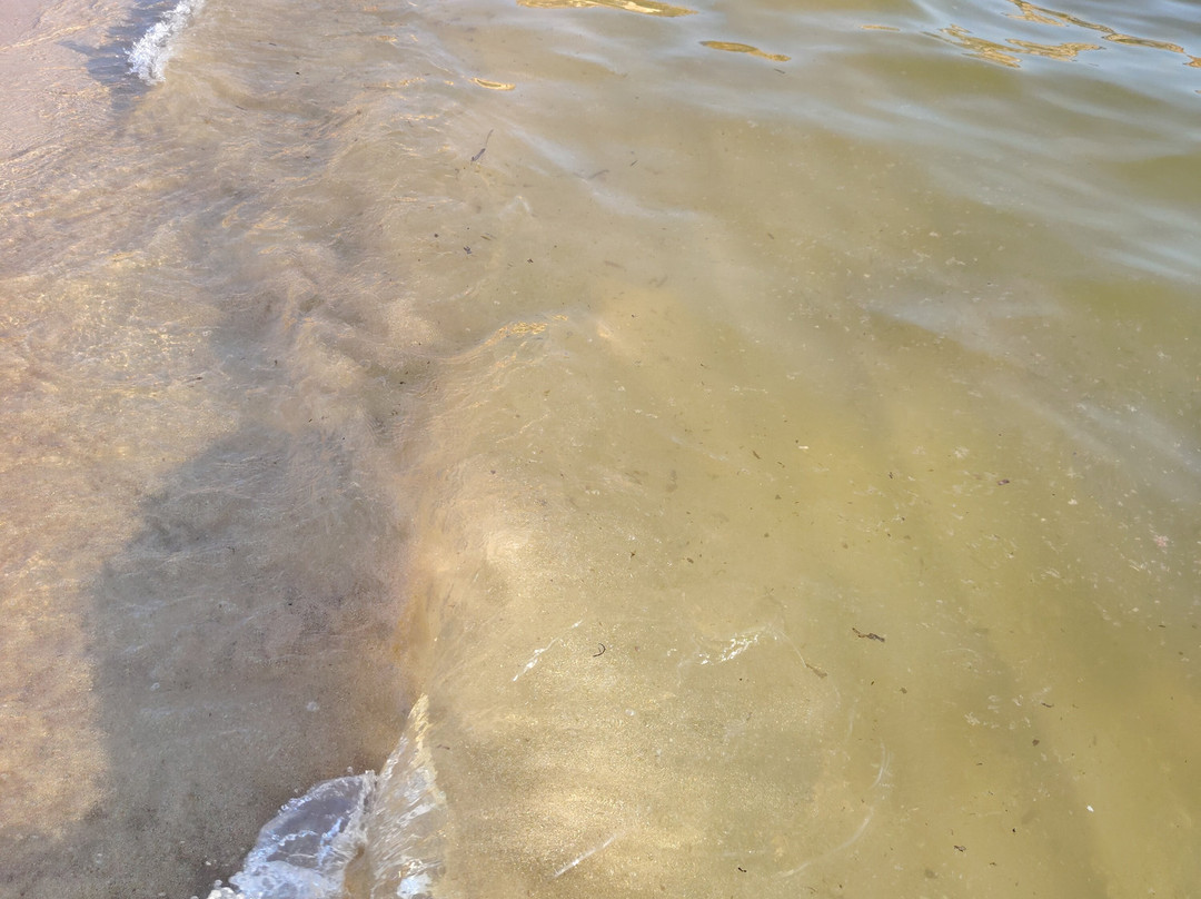 Golden Bay-梅雷赫必去景点