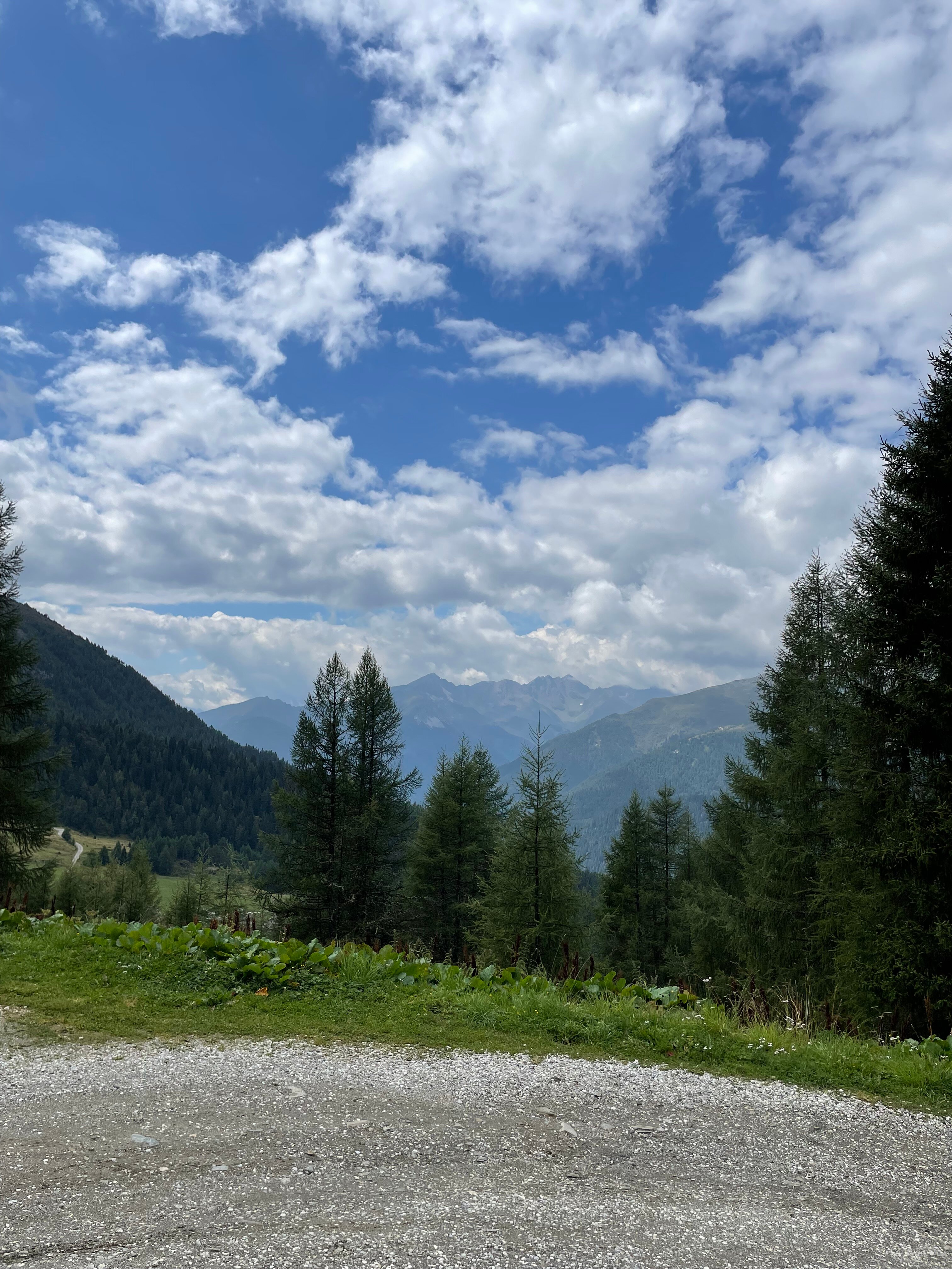 阿尔平戈珍酒店-浴室
