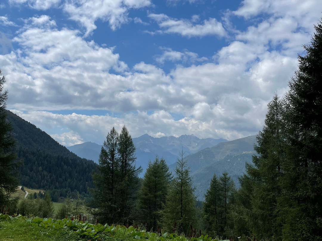 阿尔平戈珍酒店主图