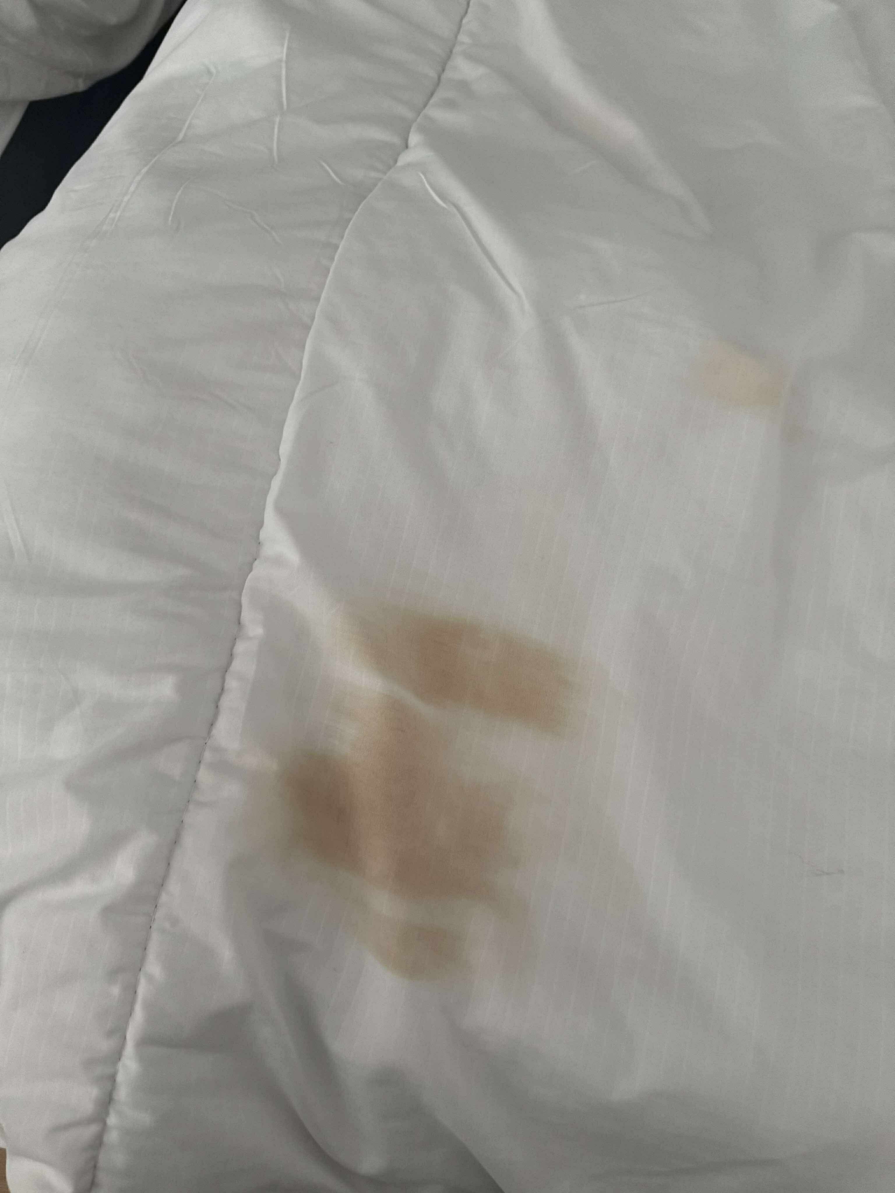 Clifton Hotel Newcastle-官方