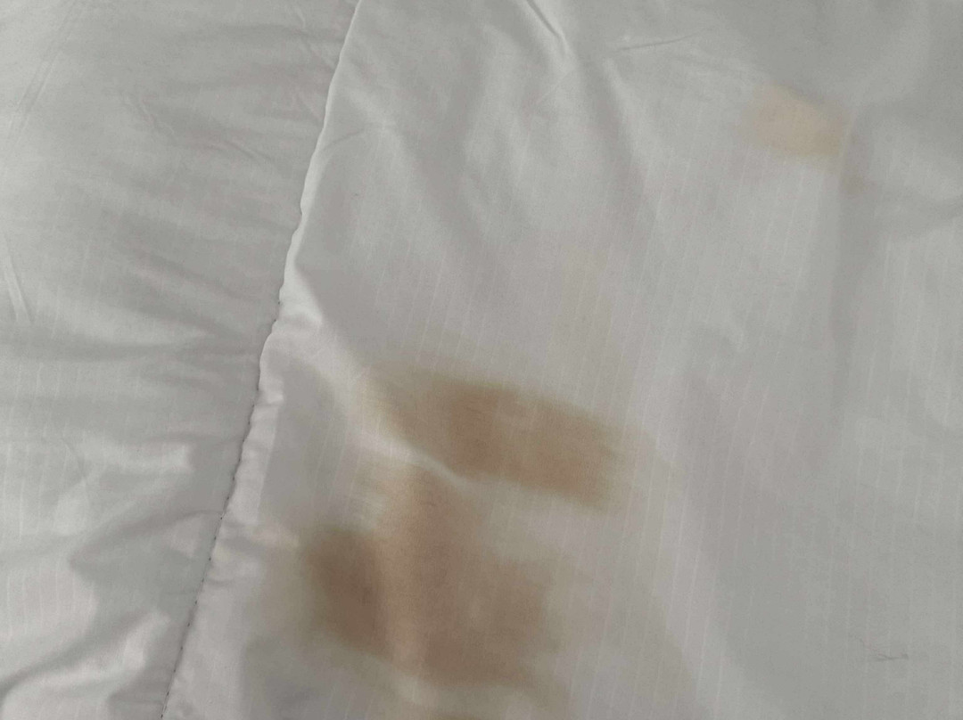 Clifton Hotel Newcastle主图