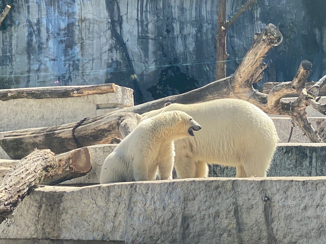 Zoo Karlsruhe-卡尔斯鲁厄必去景点