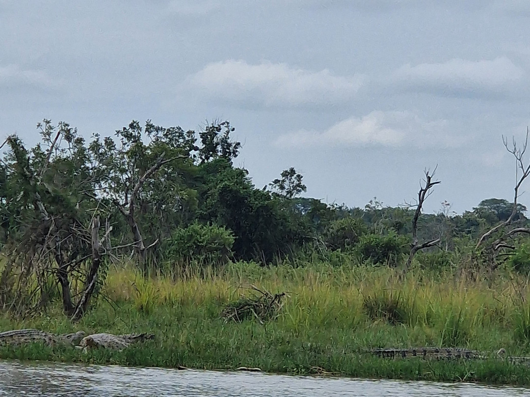 Eros Travelogue-金贾必去景点