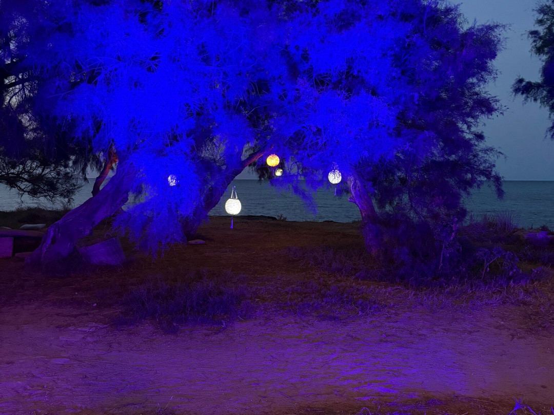 Son Serra de Marina Beach-Son Serra de Marina必去景点