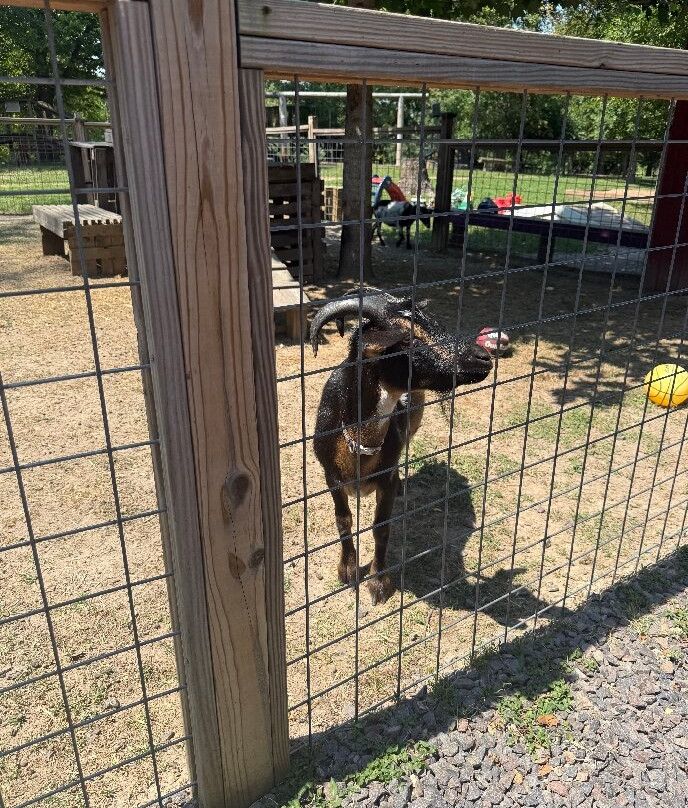 Willoughby Heritage Farm and Conservation Reserve-科林斯维尔必去景点