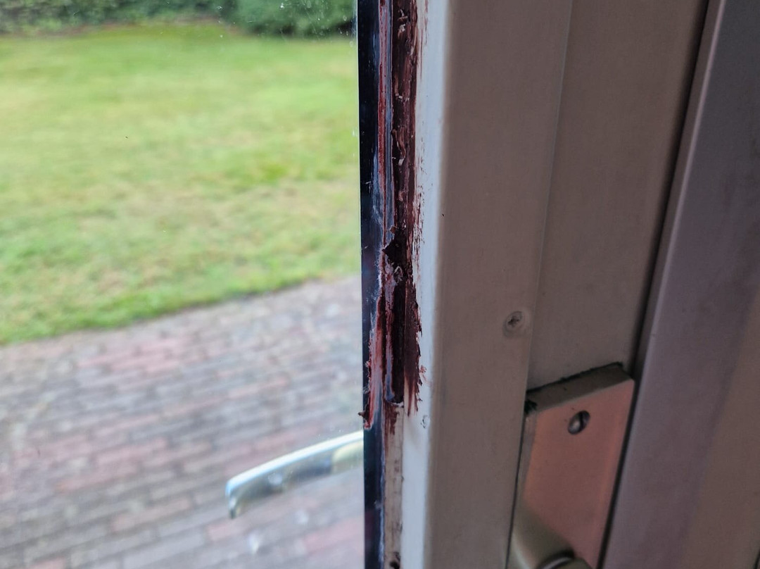 Summio Vakantiepark Emslandermeer主图