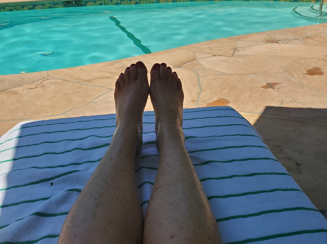 Emerald Iguana Inn主图