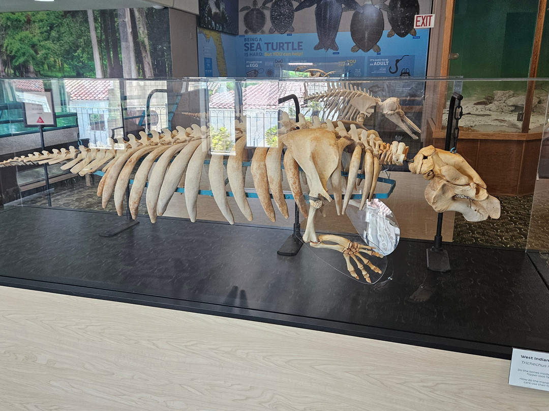 The Bishop Museum Of Science And Nature-布雷登顿必去景点