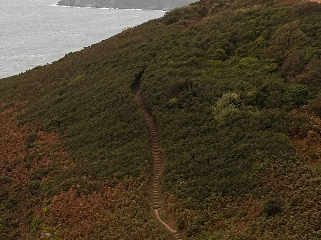 South West Coast Path-Polperro必去景点