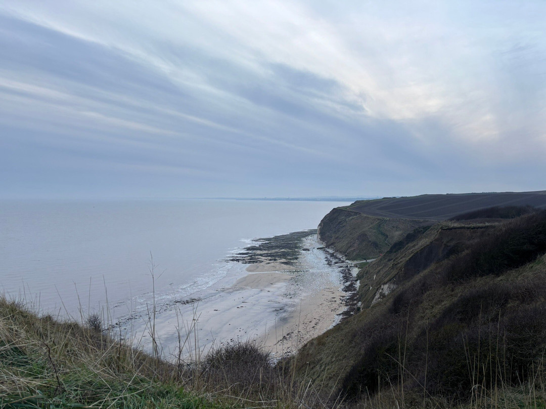 Rspb Bempton Cliffs-Bempton必去景点