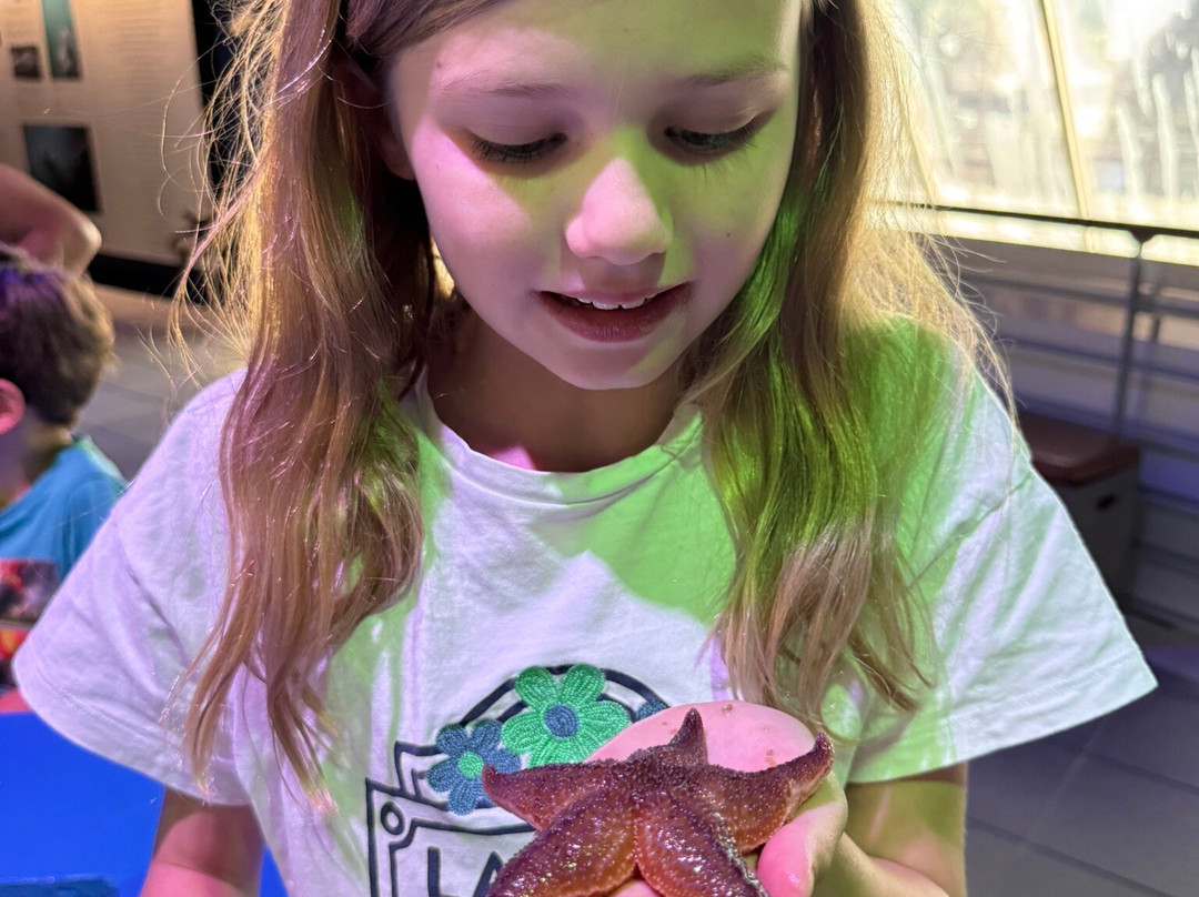 Fjord & Baelt-凯特明讷必去景点