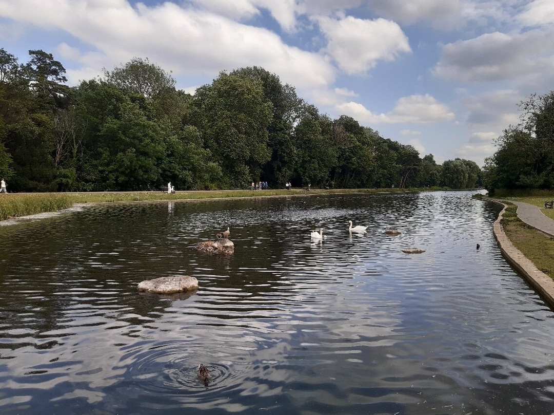 Verulamium Park-圣奥尔本斯必去景点