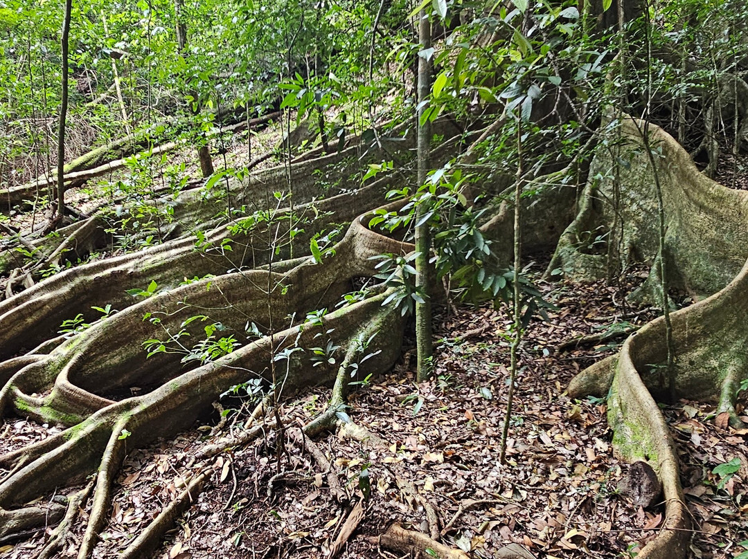 506 Expeditions-阿拉辉拉必去景点