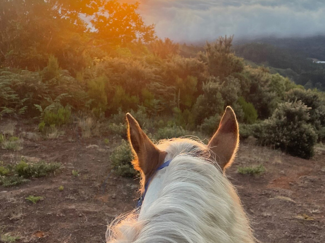 Equine Village by Quinta do Riacho-Santo da Serra必去景点