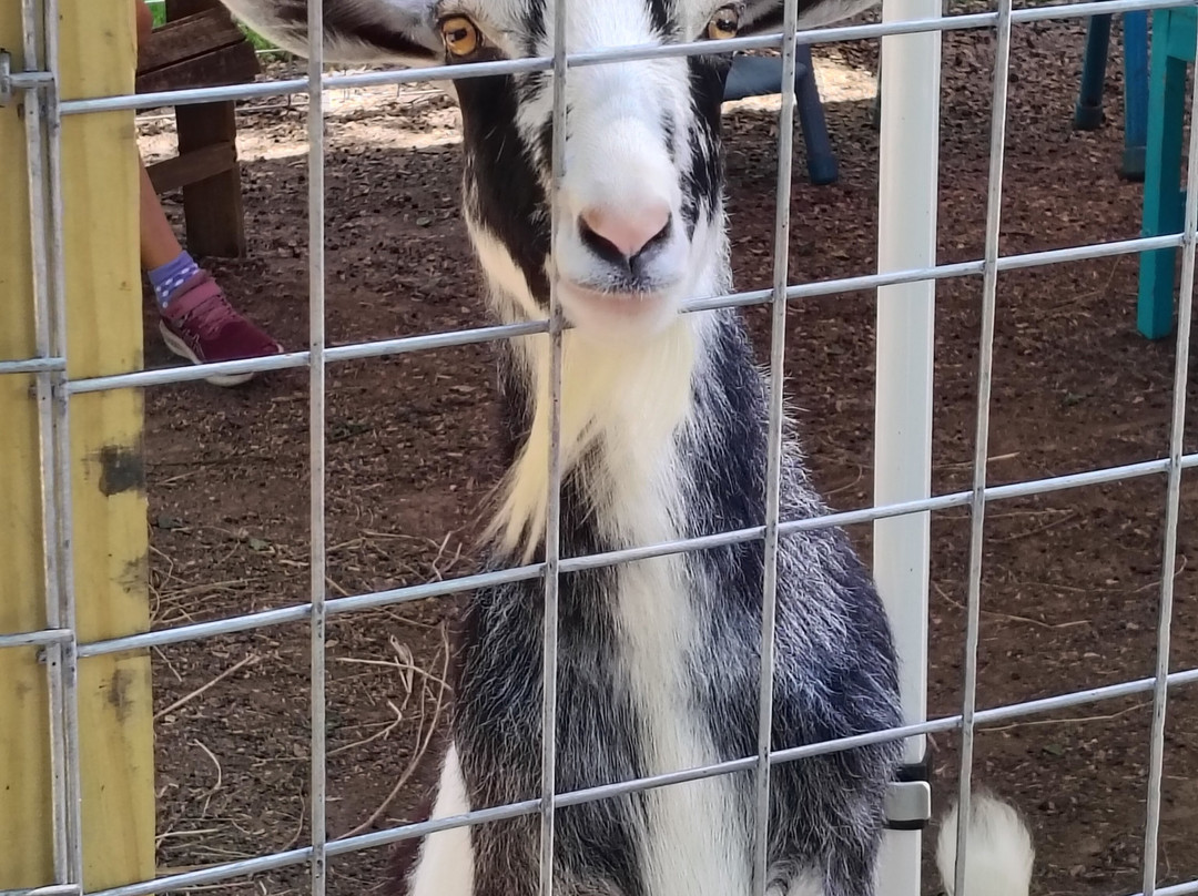 Turquoise Acres Ranch-卡蒂必去景点