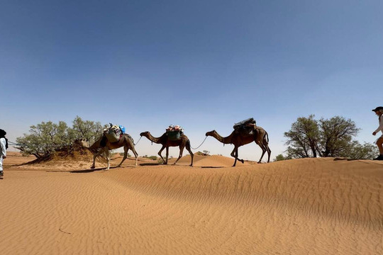 Sahara Secrets Discovery-迈哈米德必去景点