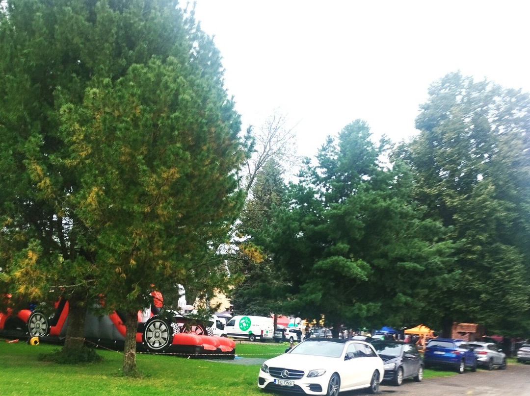 Kallaste Turu-Kallaste必去景点