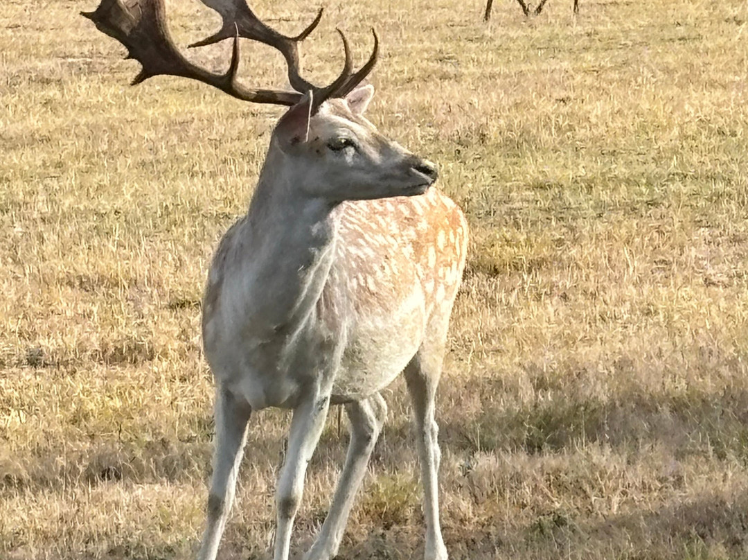 Hotel Restaurant Laborderie主图