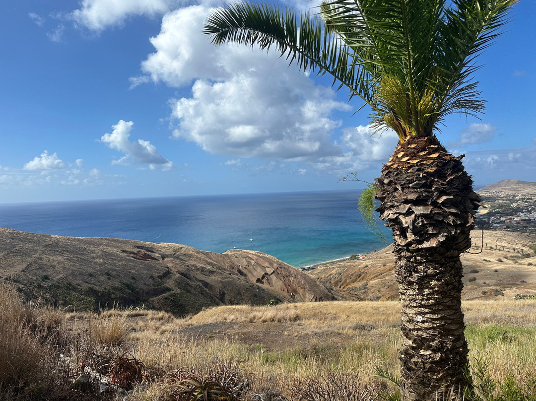 Lazermar Viagens e Turismo-Porto Santo Island必去景点